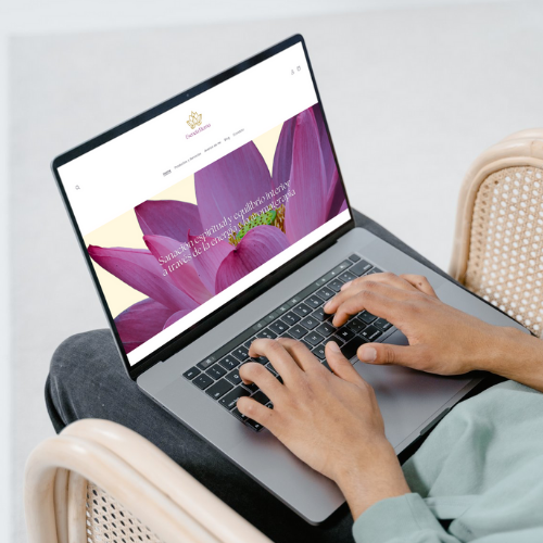 Canalización en línea y presencial